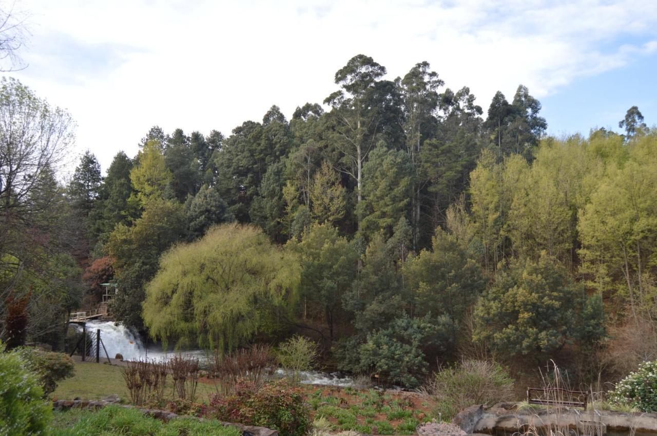 The Falls Cottages Howick Extérieur photo