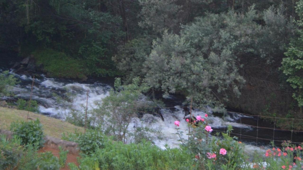 The Falls Cottages Howick Extérieur photo