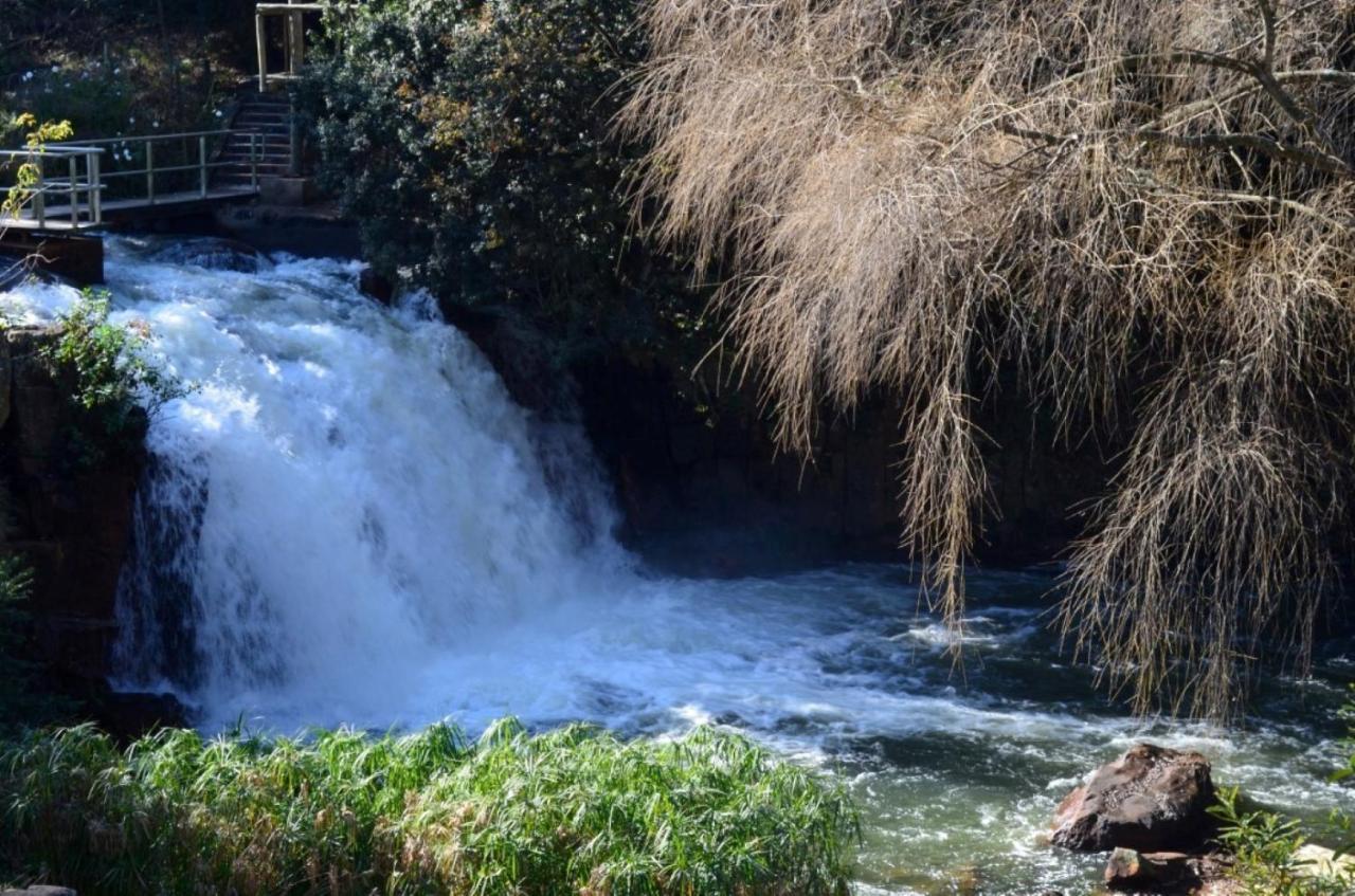 The Falls Cottages Howick Extérieur photo