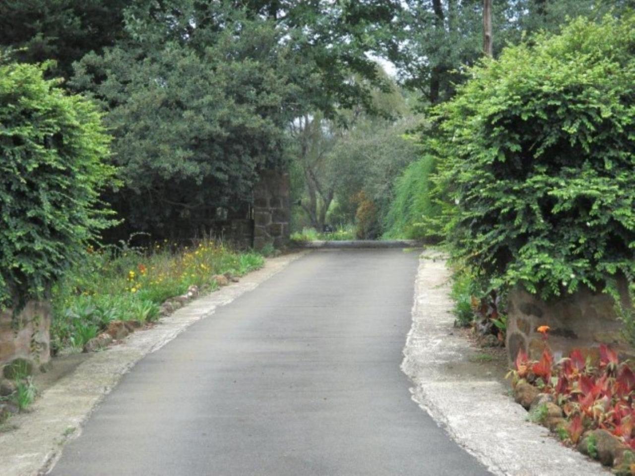 The Falls Cottages Howick Extérieur photo