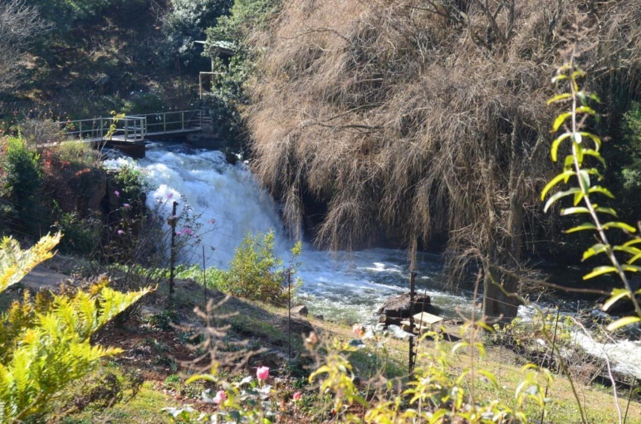 The Falls Cottages Howick Extérieur photo