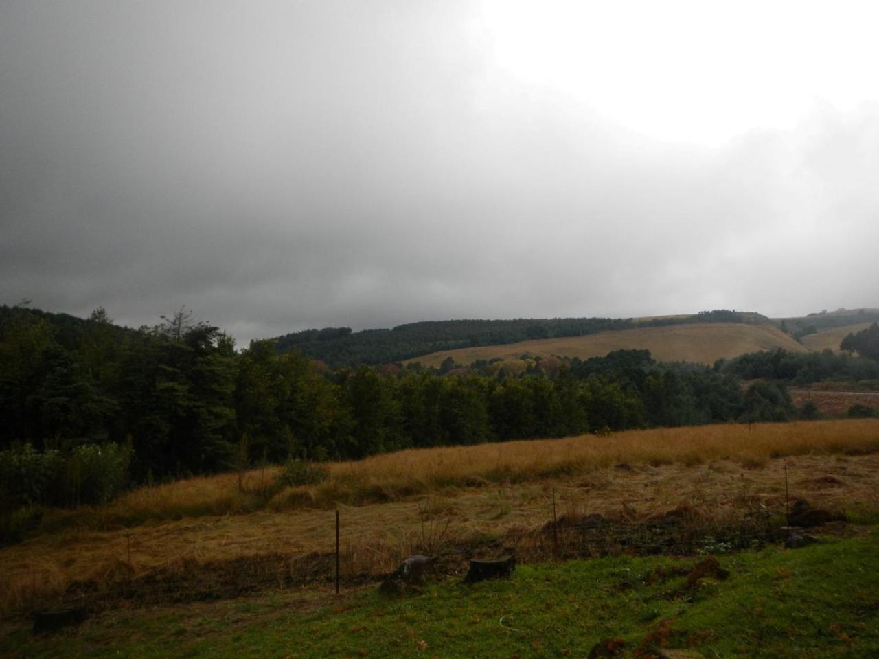 The Falls Cottages Howick Extérieur photo