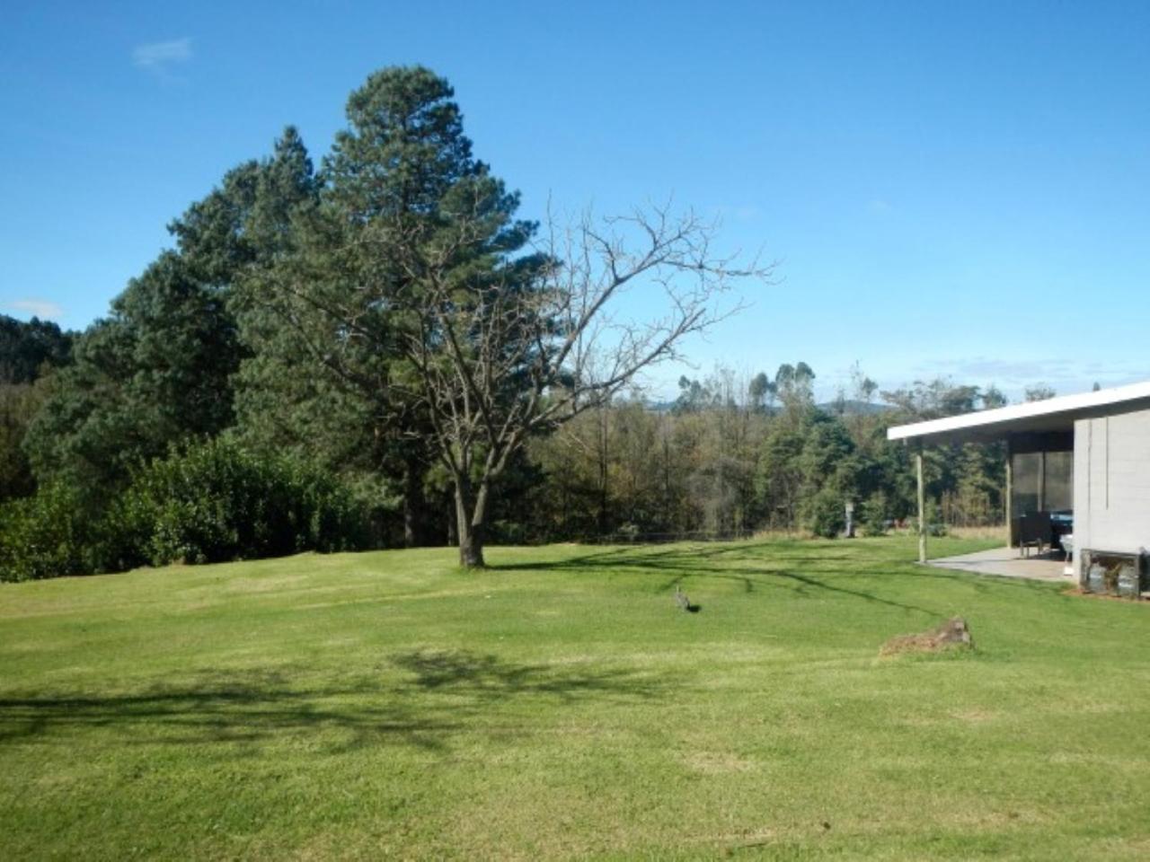 The Falls Cottages Howick Extérieur photo